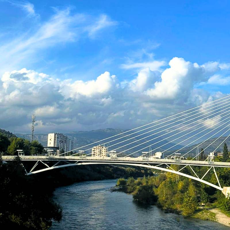 Zapošljavanje stranaca na osnovu boravišne dozvole u Crnoj Gori